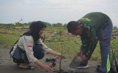 Peduli Lingkungan, BEM UNIMMA Tanam Mangrove di Pesisir Pantai