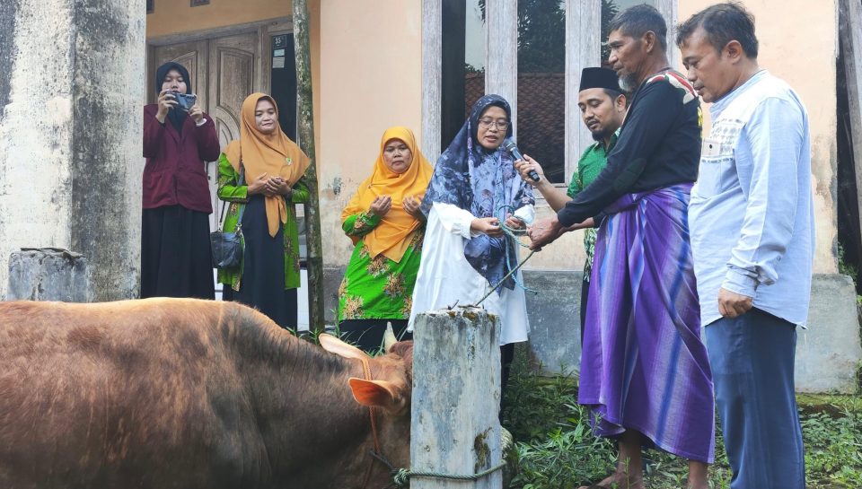 UNIMMA serahkan hewan qurban