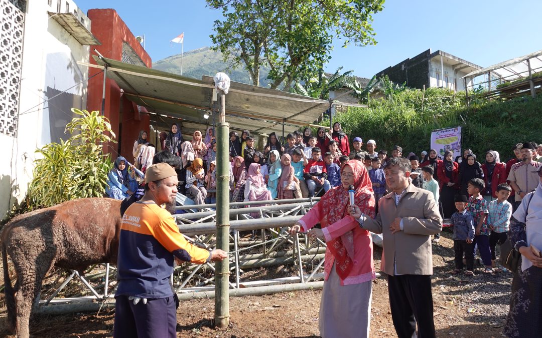 UNIMMA Serahkan Hewan Kurban dan Gelar Bakti Sosial di Lereng Gunung Sumbing