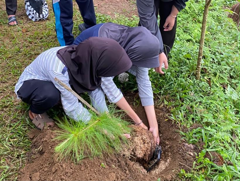 Racana UNIMMA Gelar Follow Up, Tanam Pohon Jadi Gerakan Peduli Lingkungan