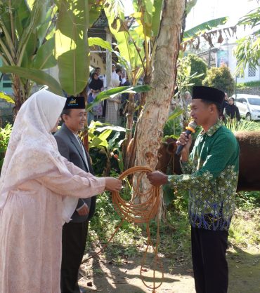Rektor UNIMMA menyerahkan kurban sapi ke PRM Warangan