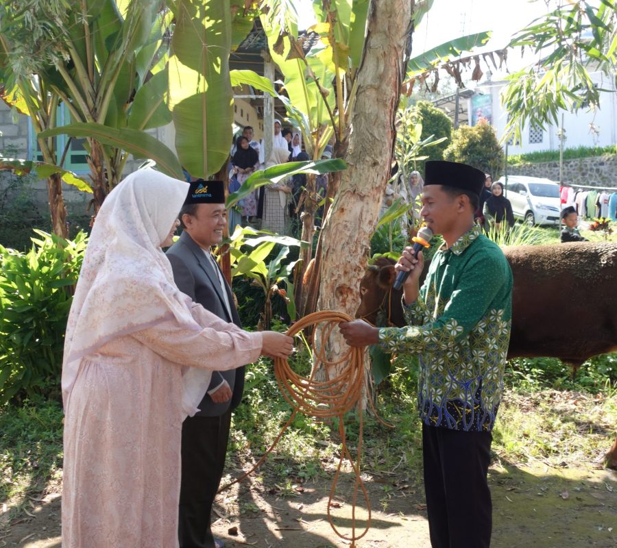 Rektor UNIMMA menyerahkan kurban sapi ke PRM Warangan