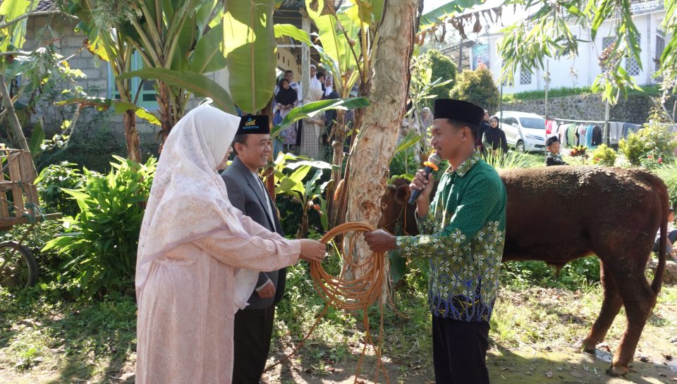 Rektor UNIMMA menyerahkan kurban sapi ke PRM Warangan